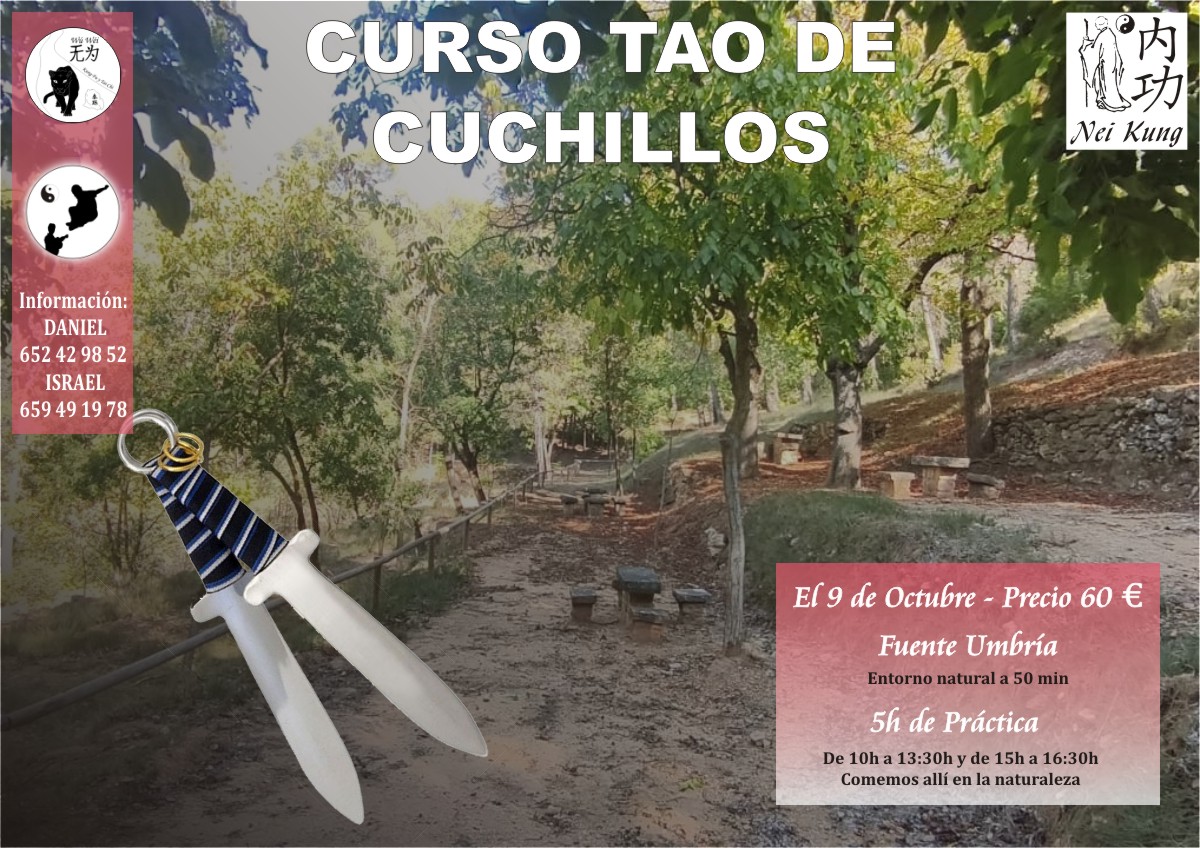 Imagen Destacada